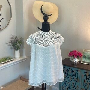Plus Swiss Dot Eyelash Lace Insert Blouse